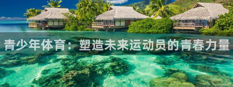 米兰体育官方正版app集团简介：青少年体育：塑造未来