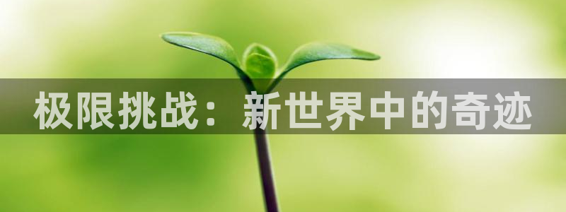 米兰体育官方正版app娱乐40996：极限挑战：新世