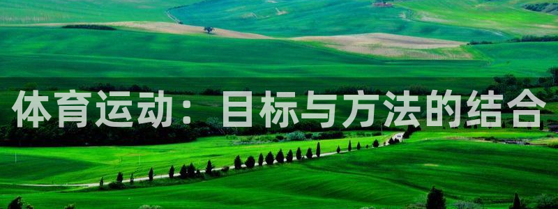 米兰体育官方正版app集团E.ON：体育运动：目标与
