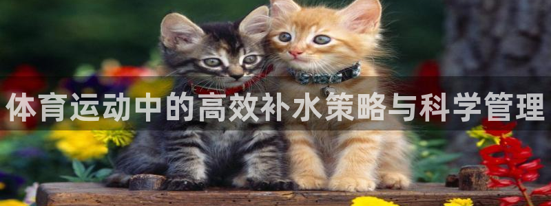 米兰体育官网下载开户：体育运动中的高效补水策略与科学