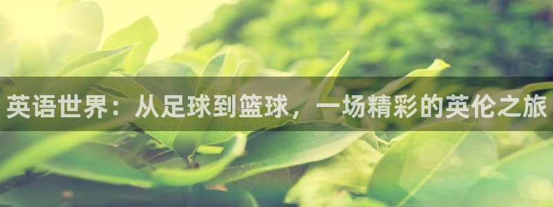米兰体育官网下载招商：英语世界：从足球到篮球，一场精