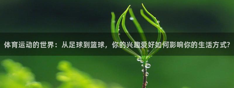米兰体育官方正版app官方：体育运动的世界：从足球到