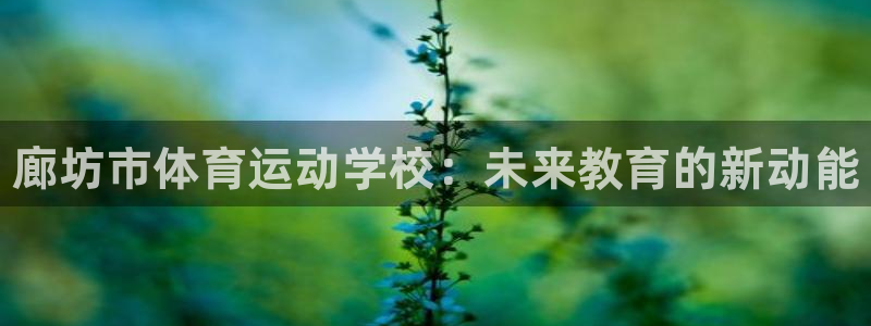 注册米兰体育官方正版app：廊坊市体育运动学校：未来