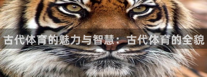 米兰体育官网下载：古代体育的魅力与智慧：古代体育的全