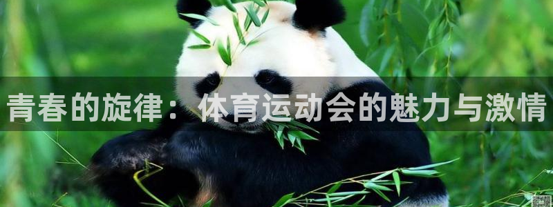 米兰体育官网下载招商电话号码查询是多少：青春的旋律：