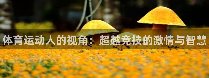 米兰体育官方正版app集团官网首页网址：体育运动人的视角：超