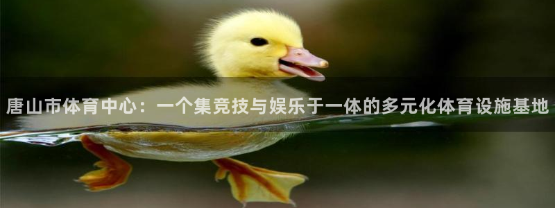 米兰体育官方正版app娱乐40996：唐山市体育中心：一个集