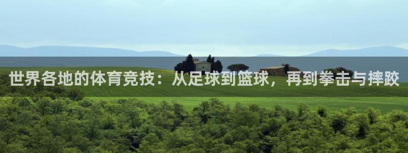 米兰体育官方正版app神州：世界各地的体育竞技：从足球到篮球