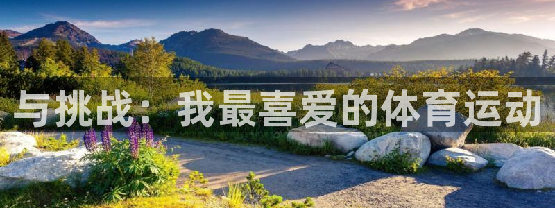 米兰体育官方正版app新能源：与挑战：我最喜爱的体育运动
