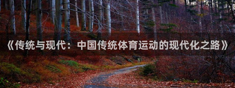 米兰体育官方正版app娱乐40996：《传统与现代：中国传统