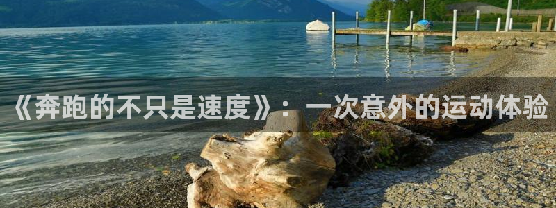 米兰体育官网下载娱乐：《奔跑的不只是速度》：一次意外的运动体